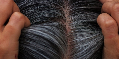 Beyazlamış, Kırlaşmış ve Dip Boyası Gelmiş Saçlarınızı Nasıl Kamufle Edebilirsiniz?